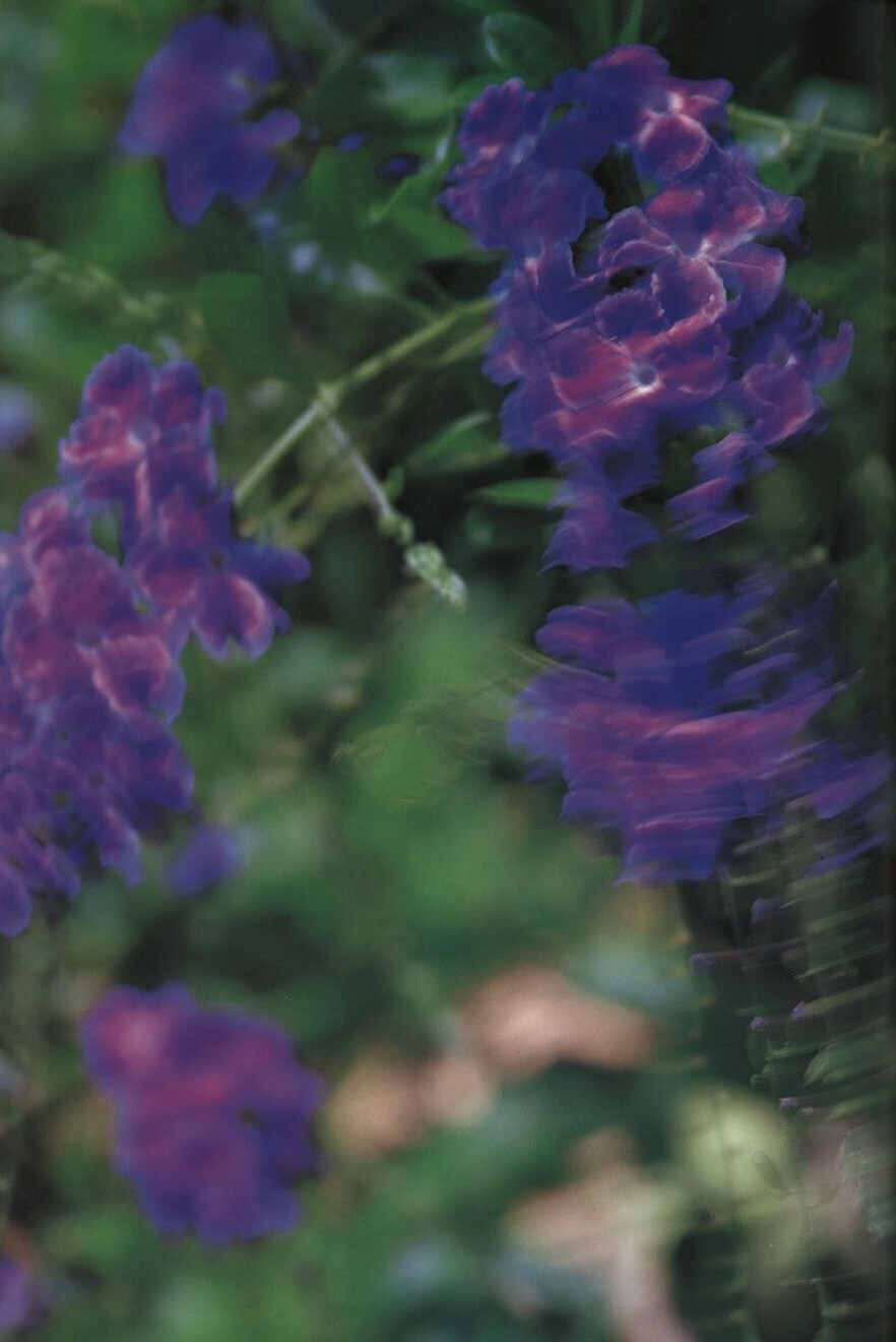 [唯美写真集]  江川有未Yumi Egawa 日本性感美女图片